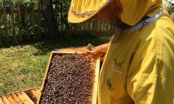 АФПЗРР: Исплатени 5234 пчелари за директни плаќања за регистрирано презимено пчелно семејство