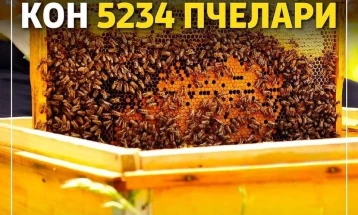 МЗШВ: Исплатени 5234 пчелари со вкупна финансиска поддршка од 157,3 милиони денари