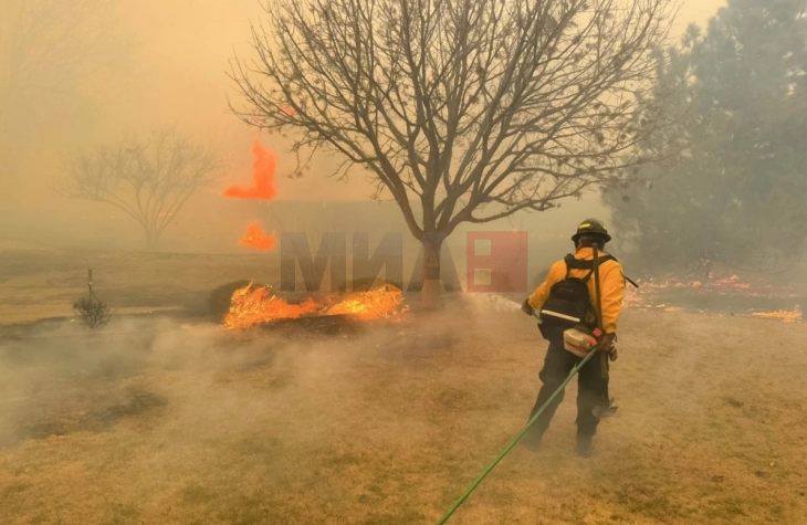 Пожарот „Смоукхаус Крик“ официјално е најголемиот во историјата на Тексас