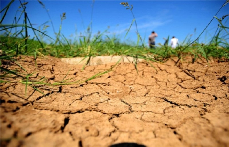 Замбија ја прогласи сушата за национална катастрофа