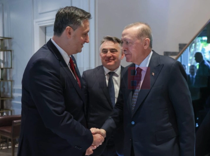 Anëtarët e presidencës së BeH-së në një takim me Erdoganin në Antali