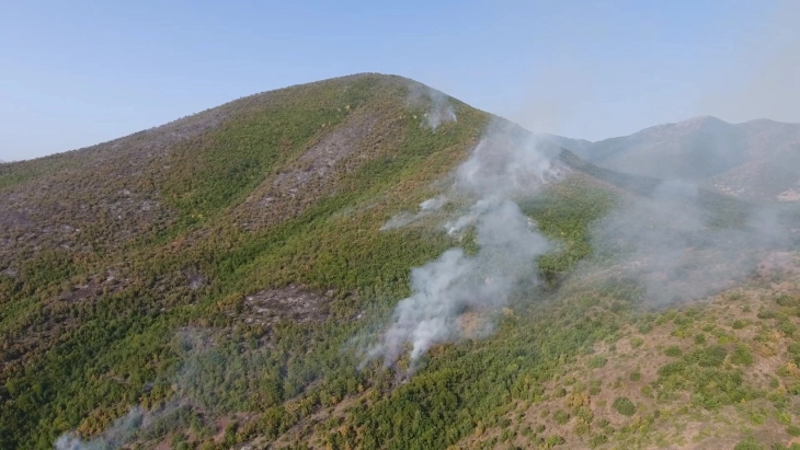 QMK: Dhjetë zjarre në ambient të hapur gjatë 24 orëve të kaluara, aktiv zjarri në komunën Makedonski Brod