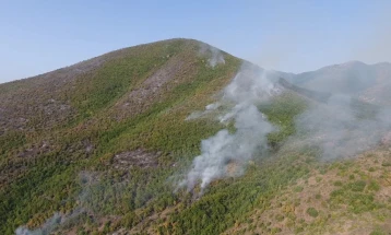 QMK: Dhjetë zjarre në ambient të hapur gjatë 24 orëve të kaluara, aktiv zjarri në komunën Makedonski Brod