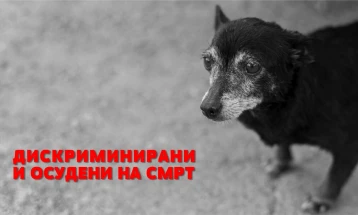 Анима Мунди: АХВ да ја исфрли одлуката за убивање на секое бездомно куче кај кое се детектира лишманија
