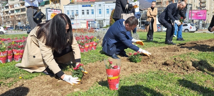 Жените вработени во Општина Тетово со градоначалникот засадија цвеќиња во центарот на градот