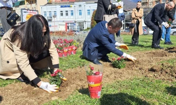Жените вработени во Општина Тетово со градоначалникот засадија цвеќиња во центарот на градот