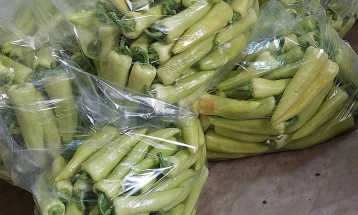 Лутите пиперки во Струмичко се откупуваат по пониски цени од лани