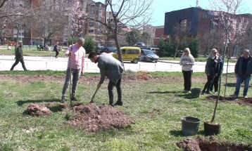Акција за садење на дрвца во паркот во штипската населба „Осми Ноември“