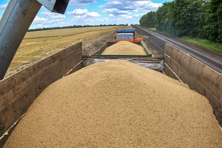 ЕУ ги зголемува царините за жито и маслодајни семиња од Русија и Белорусија