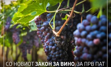 МЗШВ: Собранието го донесе новиот закон за вино, лозарите добиваат гарантирана откупна цена на винското грозје