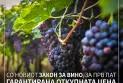 МЗШВ: Собранието го донесе новиот закон за вино, лозарите добиваат гарантирана откупна цена на винското грозје
