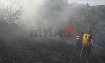 Локализиран пожар во туристичката населба Абланица во Берово