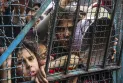 МСП му наложи на Израел да отвори копнени премини за хуманитарна помош за Појасот Газа