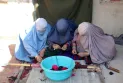 Амнести интернешнл го повика Пакистан да го запре протерувањето на авганистанските жени
