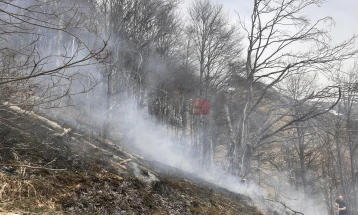 Lokalizohet zjarri mbi fshatin Veshallë të Tetovës