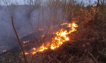 Во тек интервенција на пожар во делчевското село Бигла