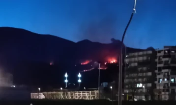 Zjarri në pyll afër Debreshës së Gostivarit është ende aktiv
