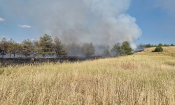 QMK: Dy zjarre aktive - nga një në komunat e Kërçovës dhe Gostivarit