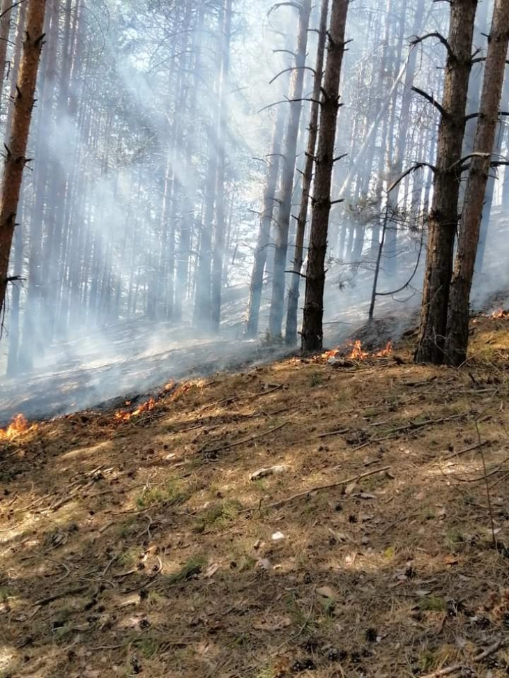 Изгаснат пожар во каменичкото село Костин Дол