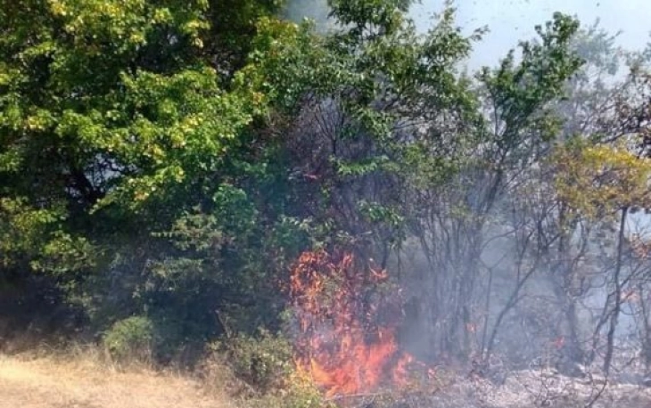 Сува трева и нискостеблеста шума гореле во липковско Виштица