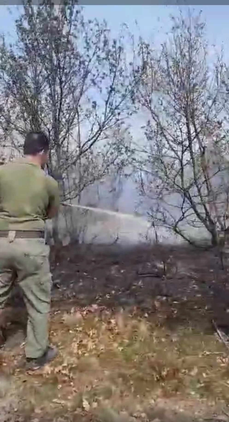 Изгаснат пожарот во липковското село Виштица