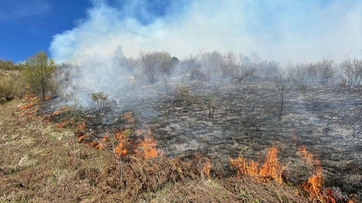 Пожарите во Дебарско изгаснати, активен само еден во село Бомово