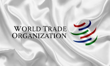СТО предвидува опоравување на светската трговија и покрај ризиците од конфликтите