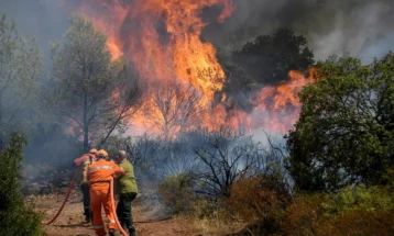 Шумските пожари лани уништиле над 500.000 хектари земјиште во ЕУ  