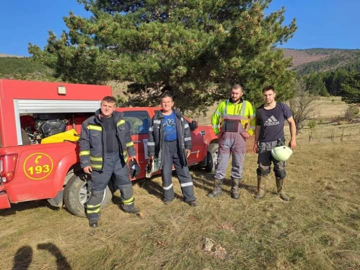 Локализиран пожарот во пехчевско Негрево