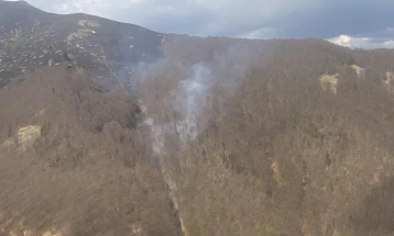 Полицискиот хеликоптер исфрли над 15 тони вода, локализиран пожарот во атарот на село Жировница