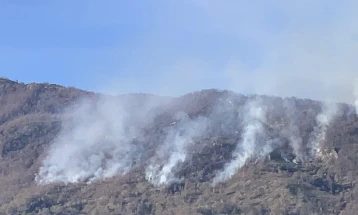 НП „Шар Планина“: Пожарот над Селце не е локализиран, сè уште се шири