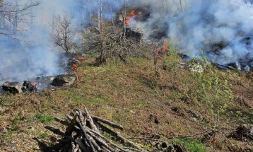 Пожарот над тетовско Селце надминува два километри линија на оган, пожарната и НП апелираат за помош од државните институции