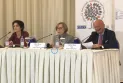 Прес-конференција на Меѓународните набљудувачи на изборите (во живо)