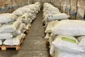 Во контејнер со ѓубриво на атинското пристаниште Пиреас откриена голема количина листови кокаин