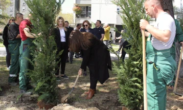 Град Скопје: Засадени 180 дрвја на булеварот „8 Септември“ во општината Карпош