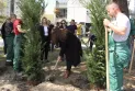 Град Скопје: Засадени 180 дрвја на булеварот „8 Септември“ во општината Карпош