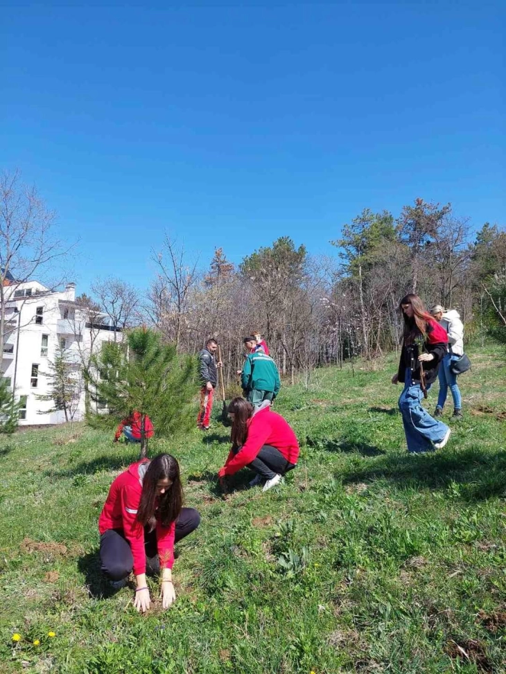 Млади реализираа еколошка акција во градскиот парк во Кавадарци