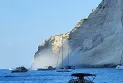 Популарната плажа „Навагио“ на грчкиот остров Закинтос и оваа лето затворена за туристи