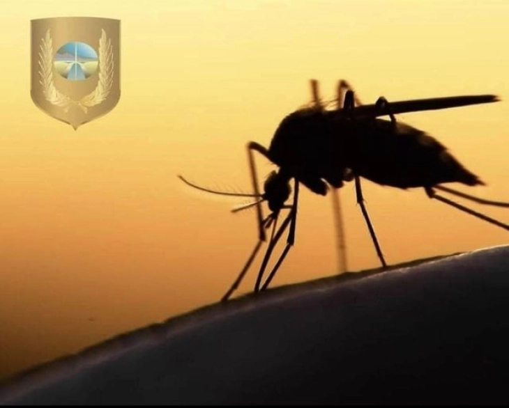 Прскање против комарци утревечер во Струга