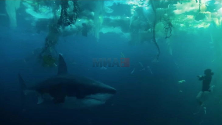 „Под Сена“ - нов хорор-филм за ајкула