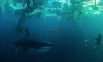 „Под Сена“ - нов хорор-филм за ајкула