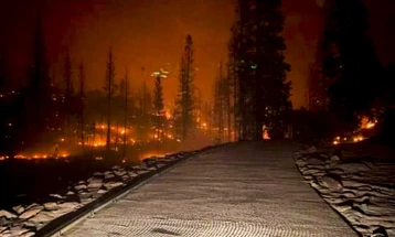 Студија: Загадувањето од шумските пожари во Калифорнија уби 52.000 луѓе за една деценија