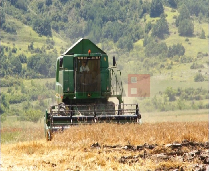 Каракашев: Националната мрежа на земјоделци бара да се направи нова производна цена за пченицата