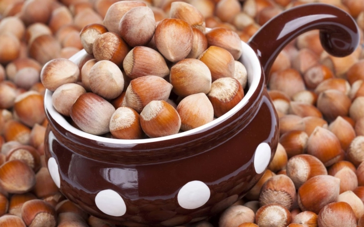 Hazelnut growers: Macedonian hazelnuts of high quality, could become export crop