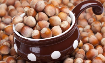 Hazelnut growers: Macedonian hazelnuts of high quality, could become export crop