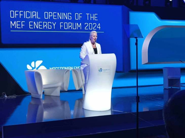 Ageler: Siguria energjetike dhe energjia e gjelbër janë prioritete që duhet t’i tejkalojnë politikat partiake