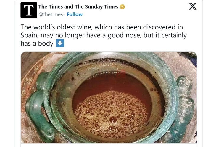 Најстарото вино на светот пронајдено во римска гробница во Шпанија