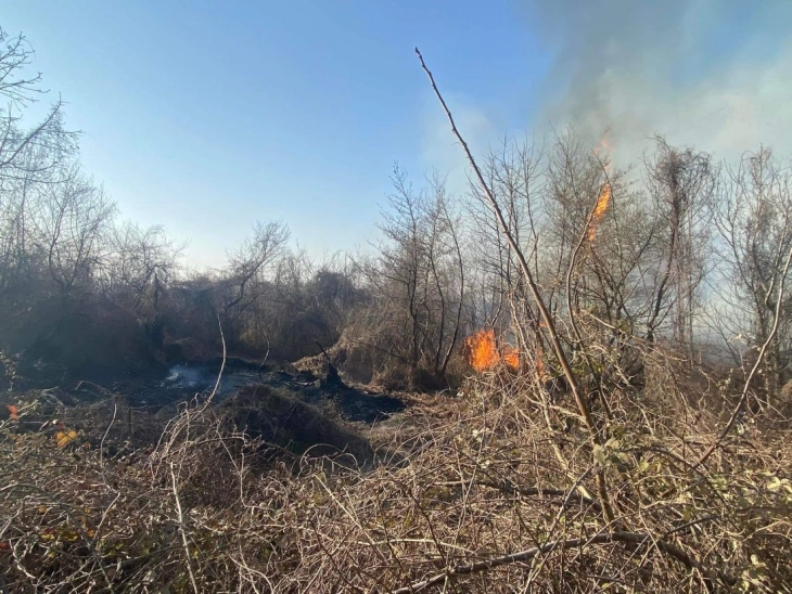 Голем пожар избувна во близина на селото Марвинци, валандовско