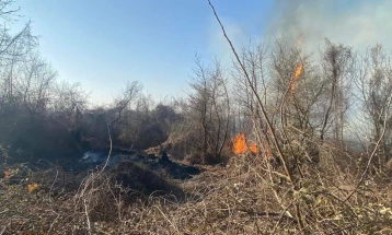 Голем пожар избувна во близина на селото Марвинци, валандовско