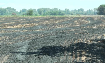 Изгоре жито меѓу карбинските села Долни Балван и Трогерци
